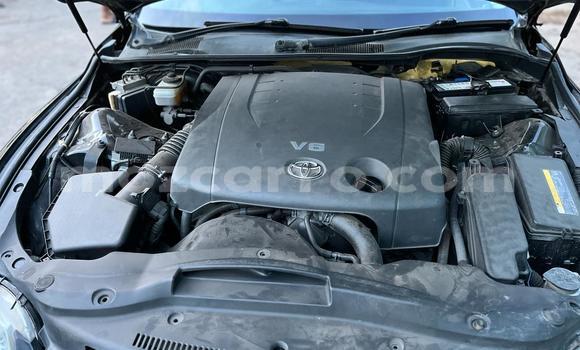 Tenga Tsaru Toyota Mark X Nhema Mota in Maputo in Maputo Tenga Tsaru Toyota Mark X Nhema Mota in Maputo in Maputo