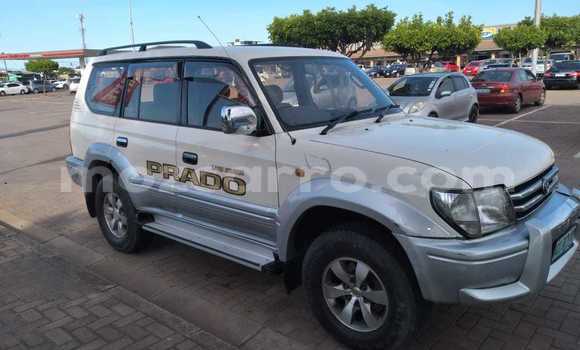 Tenga Tsaru Toyota Land Cruiser Prado Chena Mota in Maputo in Maputo Tenga Tsaru Toyota Land Cruiser Prado Chena Mota in Maputo in Maputo