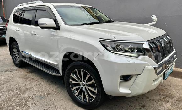 Comprar Importar Toyota Prado Branco Carro em Maputo em Maputo