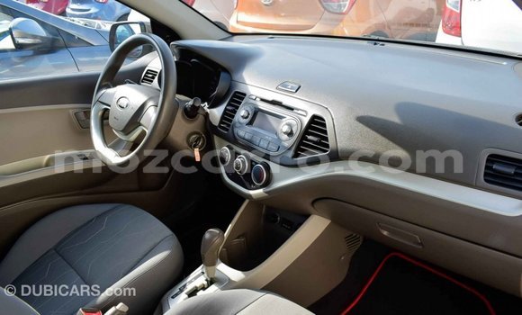 Comprar Importar Kia Picanto Castanho Carro em Import - Dubai em Cabo Delgado Comprar Importar Kia Picanto Castanho Carro em Import - Dubai em Cabo Delgado