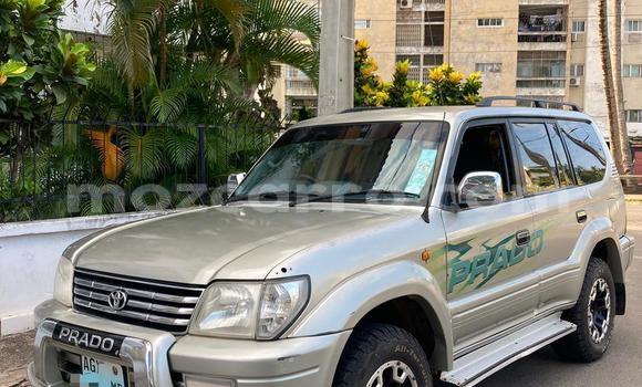 Nunua Ilio tumika Toyota Prado Fedha Gari ndani ya Maputo nchini Maputo Nunua Ilio tumika Toyota Prado Fedha Gari ndani ya Maputo nchini Maputo