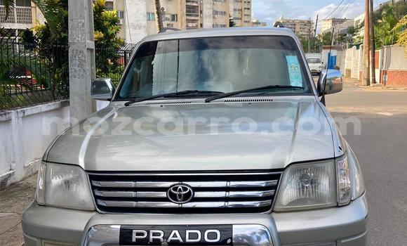 Nunua Ilio tumika Toyota Prado Fedha Gari ndani ya Maputo nchini Maputo Nunua Ilio tumika Toyota Prado Fedha Gari ndani ya Maputo nchini Maputo