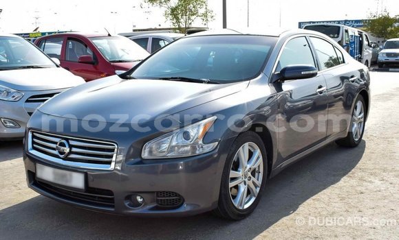 Buy Import Nissan Maxima Other Car in Import - Dubai in Cabo Delgado Buy Import Nissan Maxima Other Car in Import - Dubai in Cabo Delgado