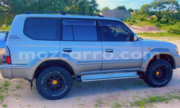 Buy Used Toyota Land Cruiser Silver Car in Maputo in Maputo Buy Used Toyota Land Cruiser Silver Car in Maputo in Maputo