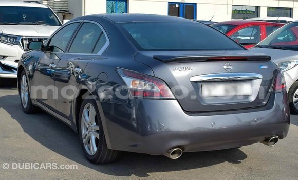 Buy Import Nissan Maxima Other Car in Import - Dubai in Cabo Delgado Buy Import Nissan Maxima Other Car in Import - Dubai in Cabo Delgado