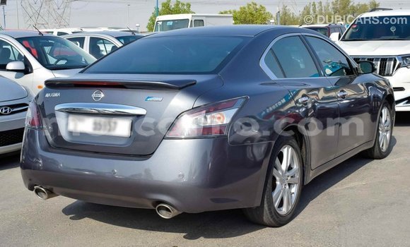 Buy Import Nissan Maxima Other Car in Import - Dubai in Cabo Delgado Buy Import Nissan Maxima Other Car in Import - Dubai in Cabo Delgado
