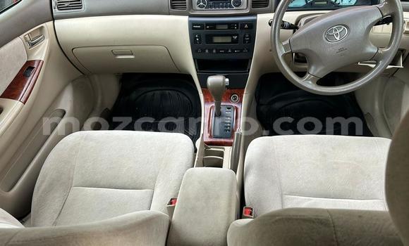 Nunua Ilio tumika Toyota Corolla Fedha Gari ndani ya Maputo nchini Maputo Nunua Ilio tumika Toyota Corolla Fedha Gari ndani ya Maputo nchini Maputo