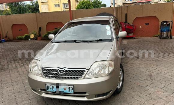 Nunua Ilio tumika Toyota Corolla Fedha Gari ndani ya Maputo nchini Maputo Nunua Ilio tumika Toyota Corolla Fedha Gari ndani ya Maputo nchini Maputo