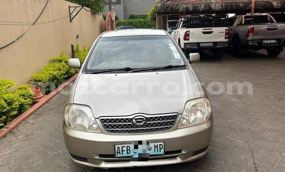 Nunua Ilio tumika Toyota Corolla Fedha Gari ndani ya Maputo nchini Maputo Nunua Ilio tumika Toyota Corolla Fedha Gari ndani ya Maputo nchini Maputo