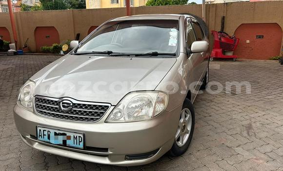 Nunua Ilio tumika Toyota Corolla Fedha Gari ndani ya Maputo nchini Maputo Nunua Ilio tumika Toyota Corolla Fedha Gari ndani ya Maputo nchini Maputo