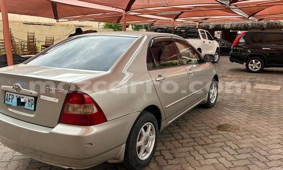 Nunua Ilio tumika Toyota Corolla Fedha Gari ndani ya Maputo nchini Maputo Nunua Ilio tumika Toyota Corolla Fedha Gari ndani ya Maputo nchini Maputo