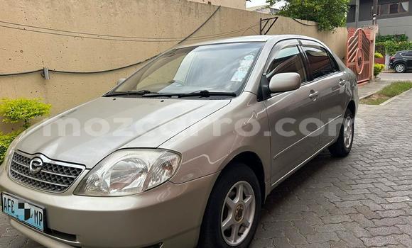 Nunua Ilio tumika Toyota Corolla Fedha Gari ndani ya Maputo nchini Maputo Nunua Ilio tumika Toyota Corolla Fedha Gari ndani ya Maputo nchini Maputo