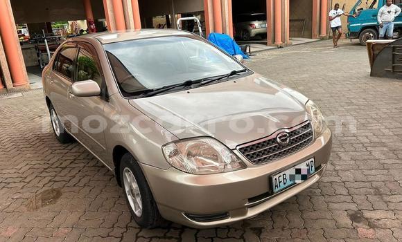 Nunua Ilio tumika Toyota Corolla Fedha Gari ndani ya Maputo nchini Maputo Nunua Ilio tumika Toyota Corolla Fedha Gari ndani ya Maputo nchini Maputo