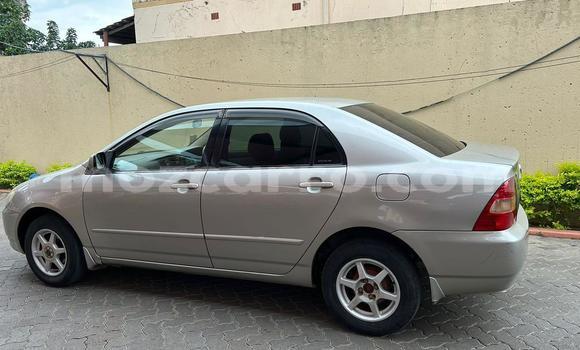 Nunua Ilio tumika Toyota Corolla Fedha Gari ndani ya Maputo nchini Maputo Nunua Ilio tumika Toyota Corolla Fedha Gari ndani ya Maputo nchini Maputo
