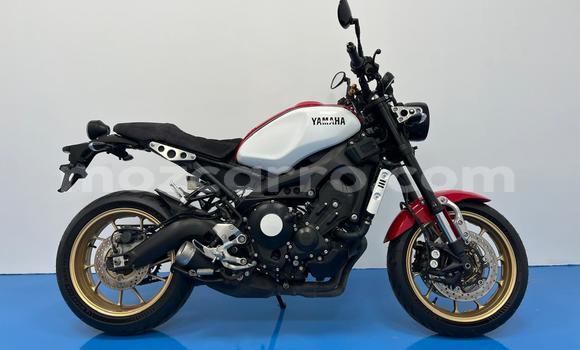 Comprar Usado Yamaha XSR Vermelho Moto em Maputo em Maputo Comprar Usado Yamaha XSR Vermelho Moto em Maputo em Maputo