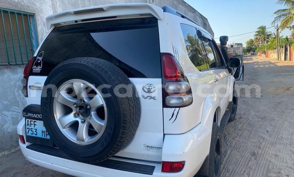 Nunua Ilio tumika Toyota Land Cruiser Prado Nyeupe Gari ndani ya Manhiça nchini Maputo Nunua Ilio tumika Toyota Land Cruiser Prado Nyeupe Gari ndani ya Manhiça nchini Maputo