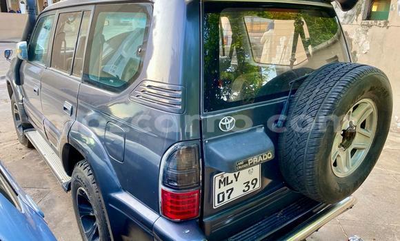 Buy Used Toyota Land Cruiser Prado Other Car in Maputo in Maputo Buy Used Toyota Land Cruiser Prado Other Car in Maputo in Maputo