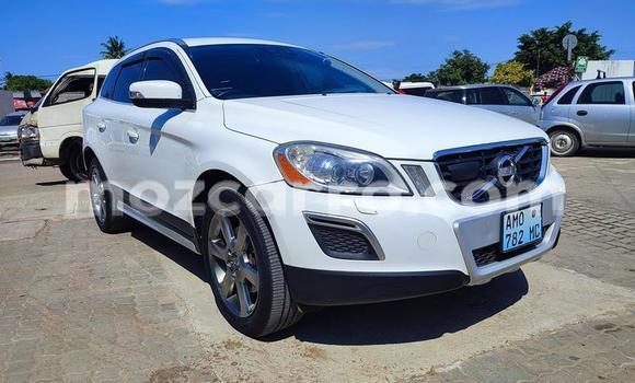 Tenga Itsva Volvo XC90 Chena Mota in Maputo in Maputo Tenga Itsva Volvo XC90 Chena Mota in Maputo in Maputo