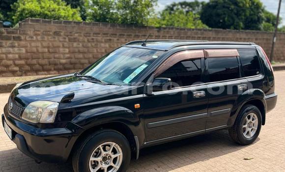 Tenga Tsaru Nissan X-Trail Nhema Mota in Maputo in Maputo Tenga Tsaru Nissan X-Trail Nhema Mota in Maputo in Maputo