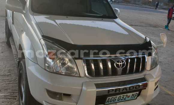 Buy Used Toyota Land Cruiser Prado White Car in Maputo in Maputo Buy Used Toyota Land Cruiser Prado White Car in Maputo in Maputo
