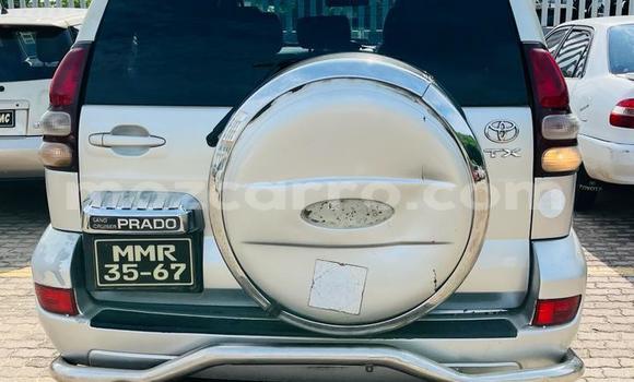 Tenga Tsaru Toyota Land Cruiser Prado Zvimwe Mota in Maputo in Maputo Tenga Tsaru Toyota Land Cruiser Prado Zvimwe Mota in Maputo in Maputo