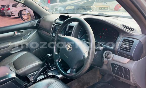 Tenga Tsaru Toyota Land Cruiser Prado Zvimwe Mota in Maputo in Maputo Tenga Tsaru Toyota Land Cruiser Prado Zvimwe Mota in Maputo in Maputo