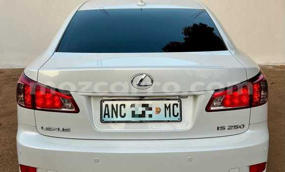 Tenga Tsaru Lexus IS Chena Mota in Maputo in Maputo Tenga Tsaru Lexus IS Chena Mota in Maputo in Maputo