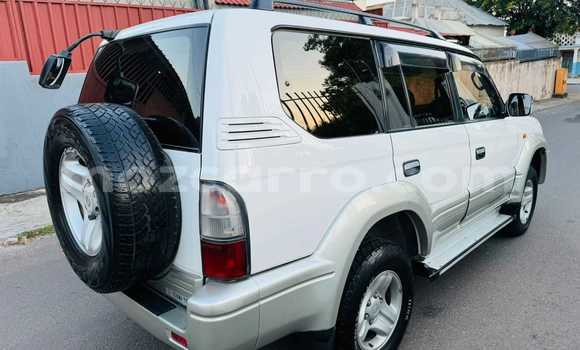 Comprar Usado Toyota Prado Branco Carro em Maputo em Maputo Comprar Usado Toyota Prado Branco Carro em Maputo em Maputo