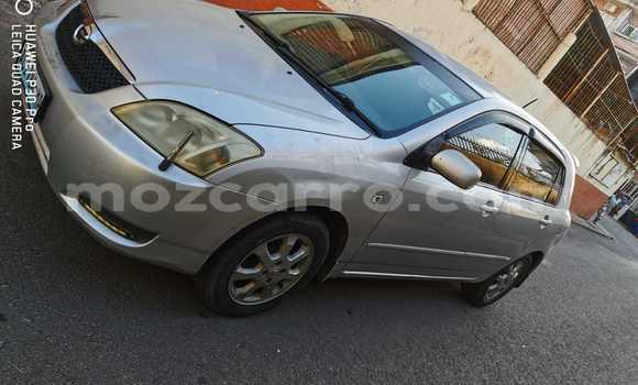 Nunua Ilio tumika Toyota Allex Fedha Gari ndani ya Maputo nchini Maputo Nunua Ilio tumika Toyota Allex Fedha Gari ndani ya Maputo nchini Maputo