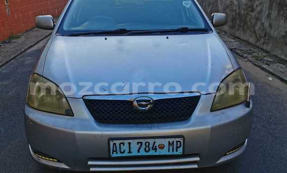 Nunua Ilio tumika Toyota Allex Fedha Gari ndani ya Maputo nchini Maputo Nunua Ilio tumika Toyota Allex Fedha Gari ndani ya Maputo nchini Maputo