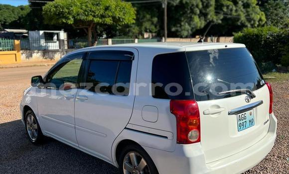 Buy Used Toyota Raum White Car in Maputo in Maputo Buy Used Toyota Raum White Car in Maputo in Maputo