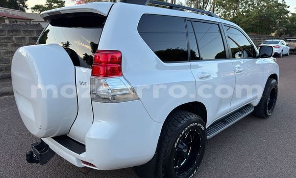 Buy New Toyota Prado White Car in Maputo in Maputo Buy New Toyota Prado White Car in Maputo in Maputo