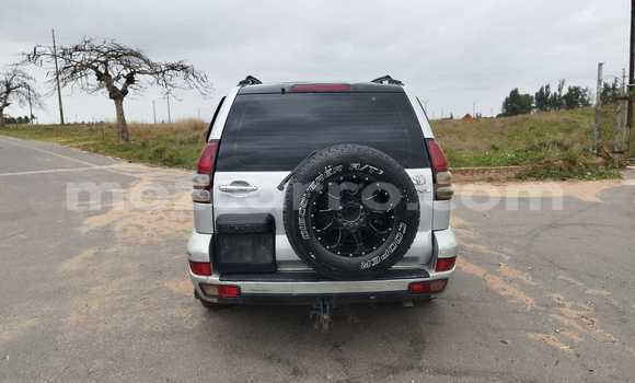 Comprar Usado Toyota Prado De outros Carro em Maputo em Maputo Comprar Usado Toyota Prado De outros Carro em Maputo em Maputo