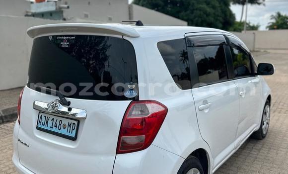 Comprar Importar Toyota Ractis Branco Carro em Maputo em Maputo Comprar Importar Toyota Ractis Branco Carro em Maputo em Maputo