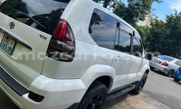 Tenga Tsaru Toyota Land Cruiser Chena Mota in Maputo in Maputo Tenga Tsaru Toyota Land Cruiser Chena Mota in Maputo in Maputo