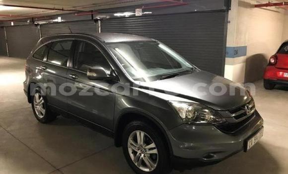 Comprar Usado Honda CR-V De outros Carro em Lumbo em Nampula Comprar Usado Honda CR-V De outros Carro em Lumbo em Nampula