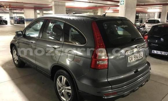 Comprar Usado Honda CR-V De outros Carro em Lumbo em Nampula Comprar Usado Honda CR-V De outros Carro em Lumbo em Nampula