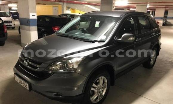 Comprar Usado Honda CR-V De outros Carro em Lumbo em Nampula Comprar Usado Honda CR-V De outros Carro em Lumbo em Nampula