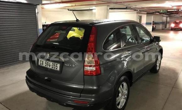 Comprar Usado Honda CR-V De outros Carro em Lumbo em Nampula Comprar Usado Honda CR-V De outros Carro em Lumbo em Nampula