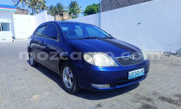 Buy Used Toyota Corolla Blue Car in Maputo in Maputo Buy Used Toyota Corolla Blue Car in Maputo in Maputo