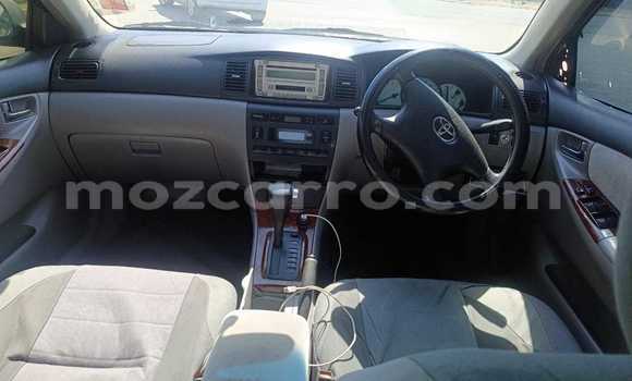 Buy Used Toyota Corolla Blue Car in Maputo in Maputo Buy Used Toyota Corolla Blue Car in Maputo in Maputo