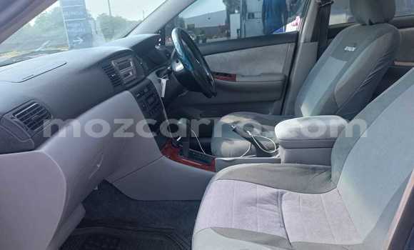 Buy Used Toyota Corolla Blue Car in Maputo in Maputo Buy Used Toyota Corolla Blue Car in Maputo in Maputo
