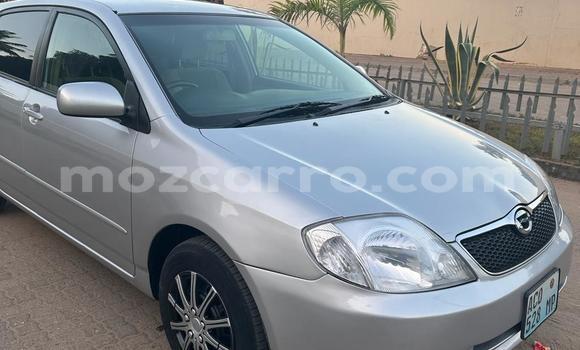 Tenga Tsaru Toyota Runx Zvimwe Mota in Maputo in Maputo Tenga Tsaru Toyota Runx Zvimwe Mota in Maputo in Maputo