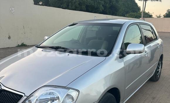 Tenga Tsaru Toyota Runx Zvimwe Mota in Maputo in Maputo Tenga Tsaru Toyota Runx Zvimwe Mota in Maputo in Maputo