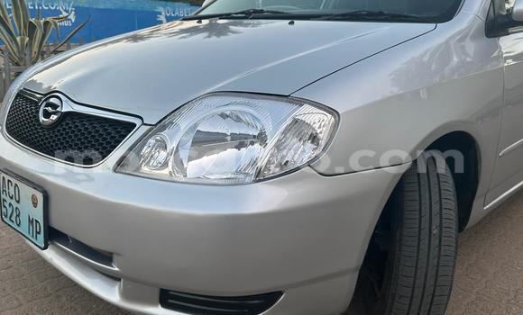 Tenga Tsaru Toyota Runx Zvimwe Mota in Maputo in Maputo Tenga Tsaru Toyota Runx Zvimwe Mota in Maputo in Maputo