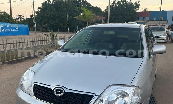 Tenga Tsaru Toyota Runx Zvimwe Mota in Maputo in Maputo Tenga Tsaru Toyota Runx Zvimwe Mota in Maputo in Maputo