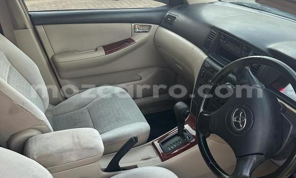 Tenga Tsaru Toyota Runx Zvimwe Mota in Maputo in Maputo Tenga Tsaru Toyota Runx Zvimwe Mota in Maputo in Maputo