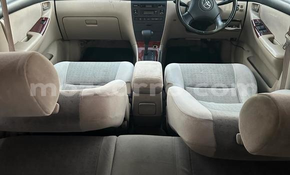 Tenga Tsaru Toyota Runx Zvimwe Mota in Maputo in Maputo Tenga Tsaru Toyota Runx Zvimwe Mota in Maputo in Maputo