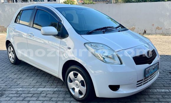 Buy New Toyota Vitz White Car in Maputo in Maputo
