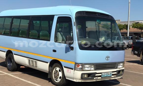 Nunua Ilio tumika Toyota Coaster Bluu Gari ndani ya Maputo nchini Maputo Nunua Ilio tumika Toyota Coaster Bluu Gari ndani ya Maputo nchini Maputo